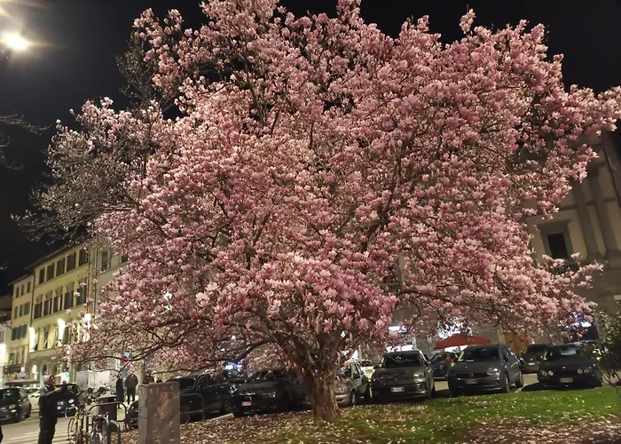 Il Nido Delle Rondini Penzion 3*